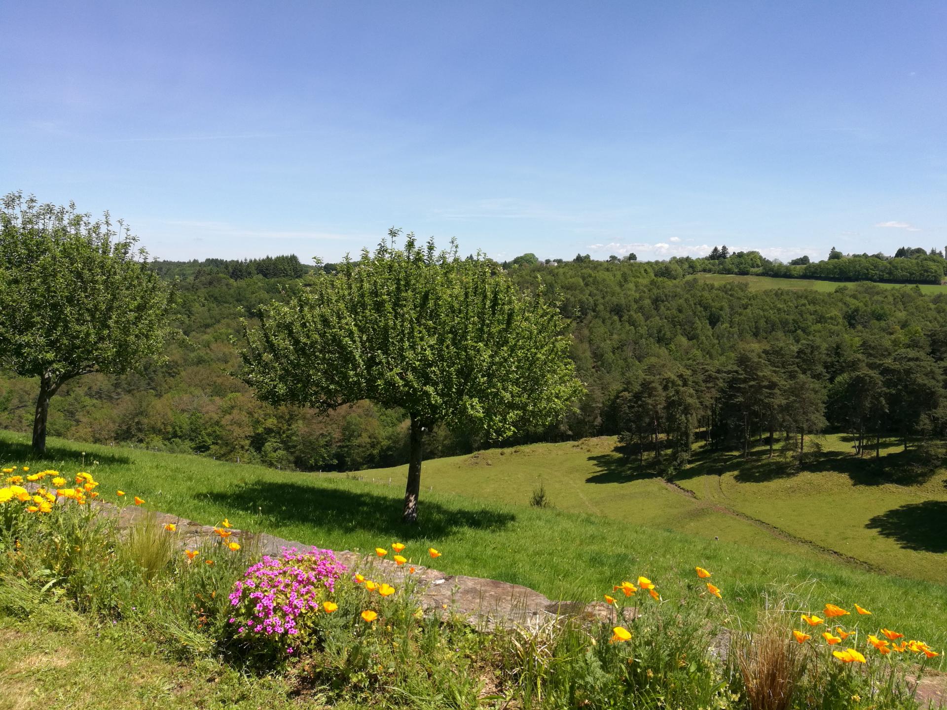 Vue sur les bois de la Chapelle-Saint-Géraud depuis l'esplanade