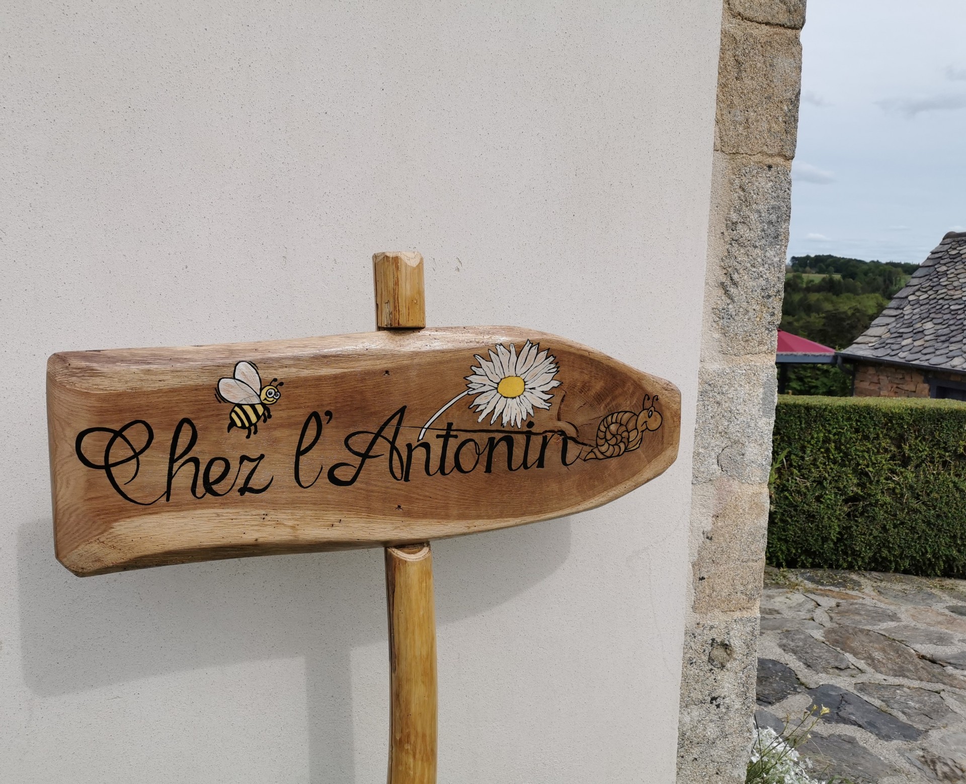Venez voir ! C'est par ici !