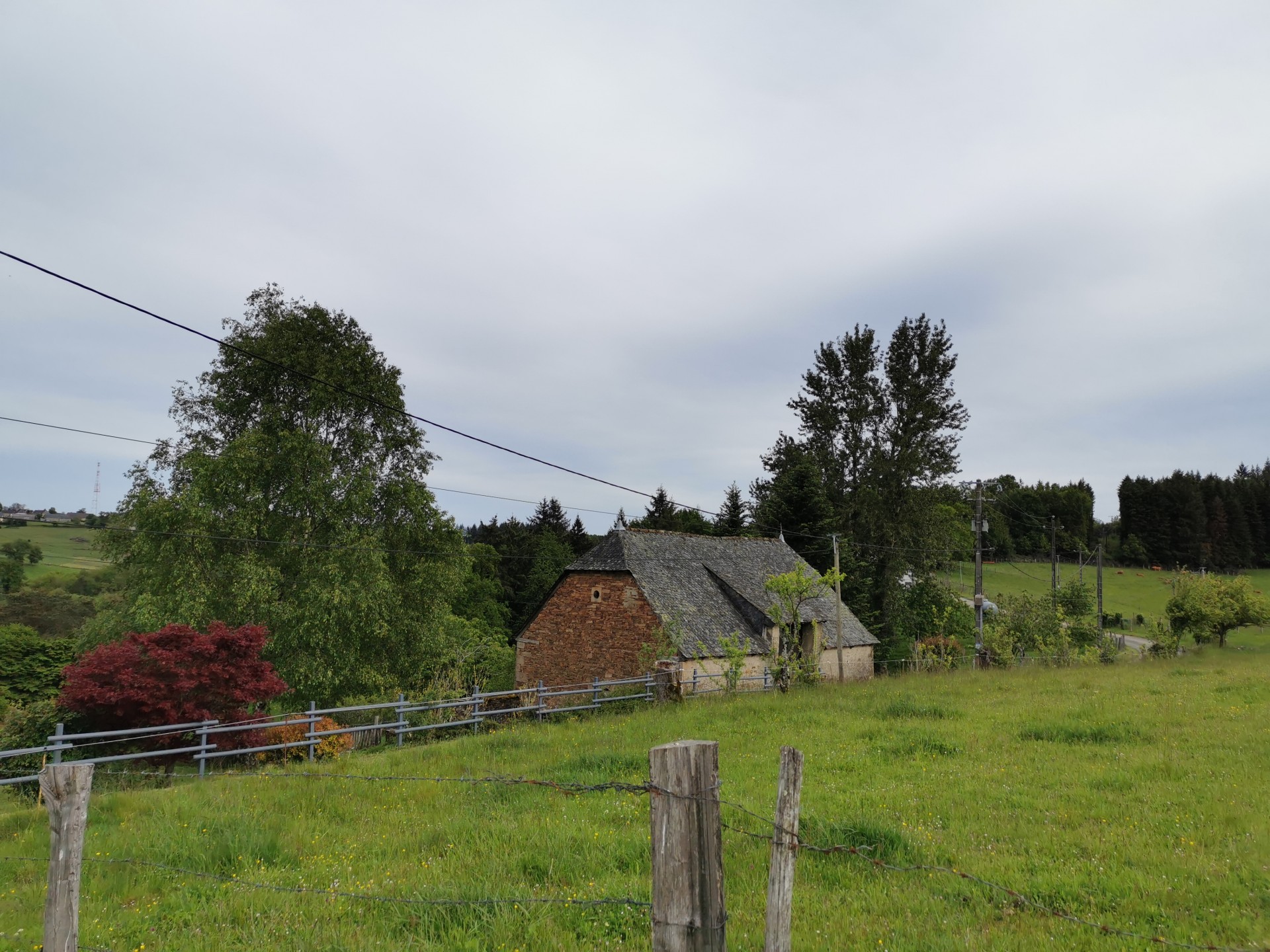 Ecrin de verdure