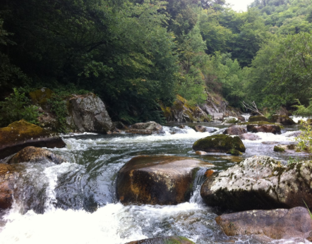 Lamativie les gorges de la Cère (département de la Corrèze)